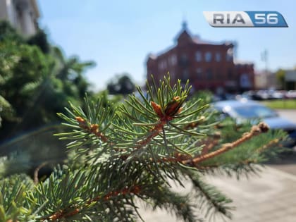 Ночные и дневные температуры в Оренбургской области: резкие перепады продолжаются