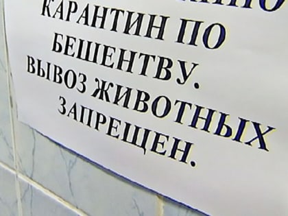 В Соль-Илецком округе ввели карантин по бешенству