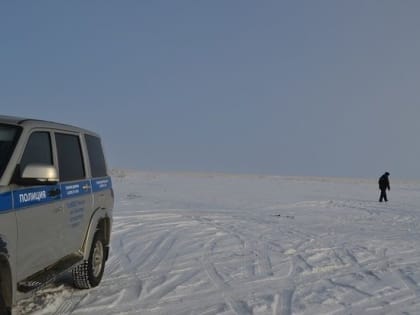 В Гайском городском округе пропали лошади