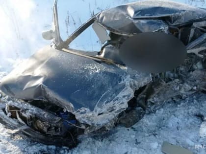 В Бузулукском районе на трассе в ДТП погиб водитель легковушки