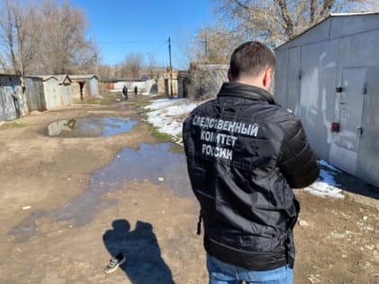 Личность ребенка, которого в Оренбурге загрызли собаки, пока не установлена