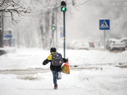 В Оренбуржье на карантин по гриппу закрыты 73 школы