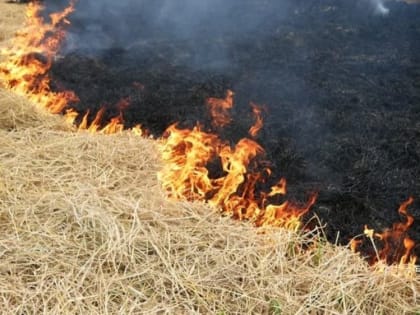 В Беляевском районе сгорело 900 центнеров сена