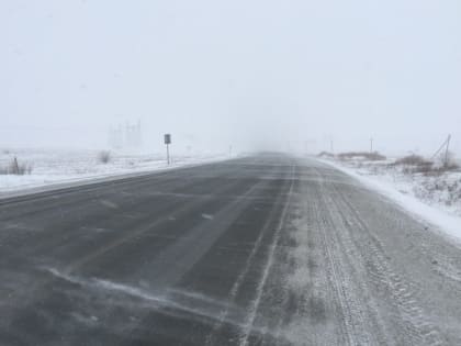 В Оренбургской области выпал снег