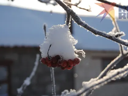 В Оренбуржье 6 декабря будет без осадков и до -10 градусов