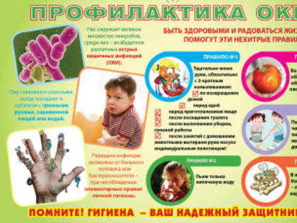 Роспотребнадзор напоминает симптомы энтеровирусной и острых кишечных  инфекций