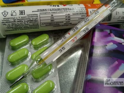 Оренбуржцев предупредили о вспышке гриппа, вызывающего пневмонию за сутки