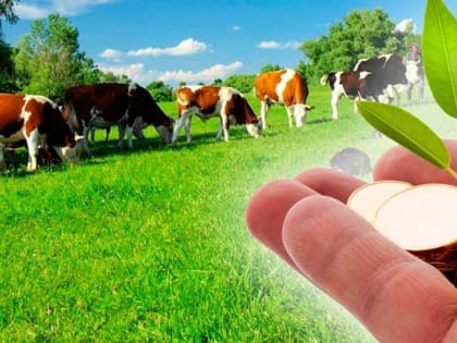 Грантовая поддержка фермеров