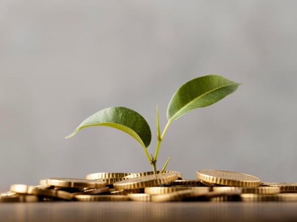 Инновационные подходы банка Точка в обслуживании малого бизнеса