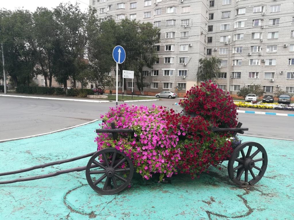 Цветы оренбург. Оренбург город цветов. Малые архитектурные формы Оренбург. Цветы на день города. Территория Оренбург цветы.