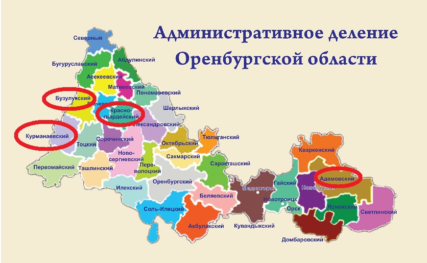 Оренбургская область на карте россии с городами. Административная карта Оренбургской области. Карта Оренбургской области с районами. Бузулукский район районы Оренбургской. Карта административных районов Оренбургской области.