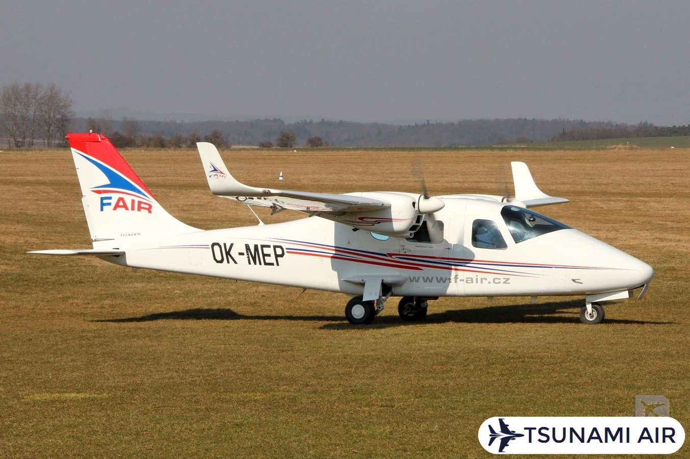 P-2006T
