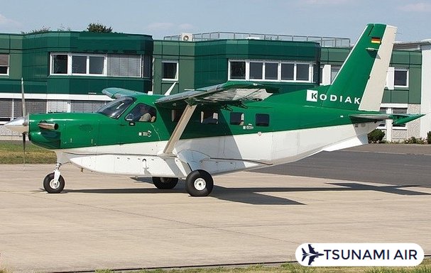 Kodiak 100 Series II
