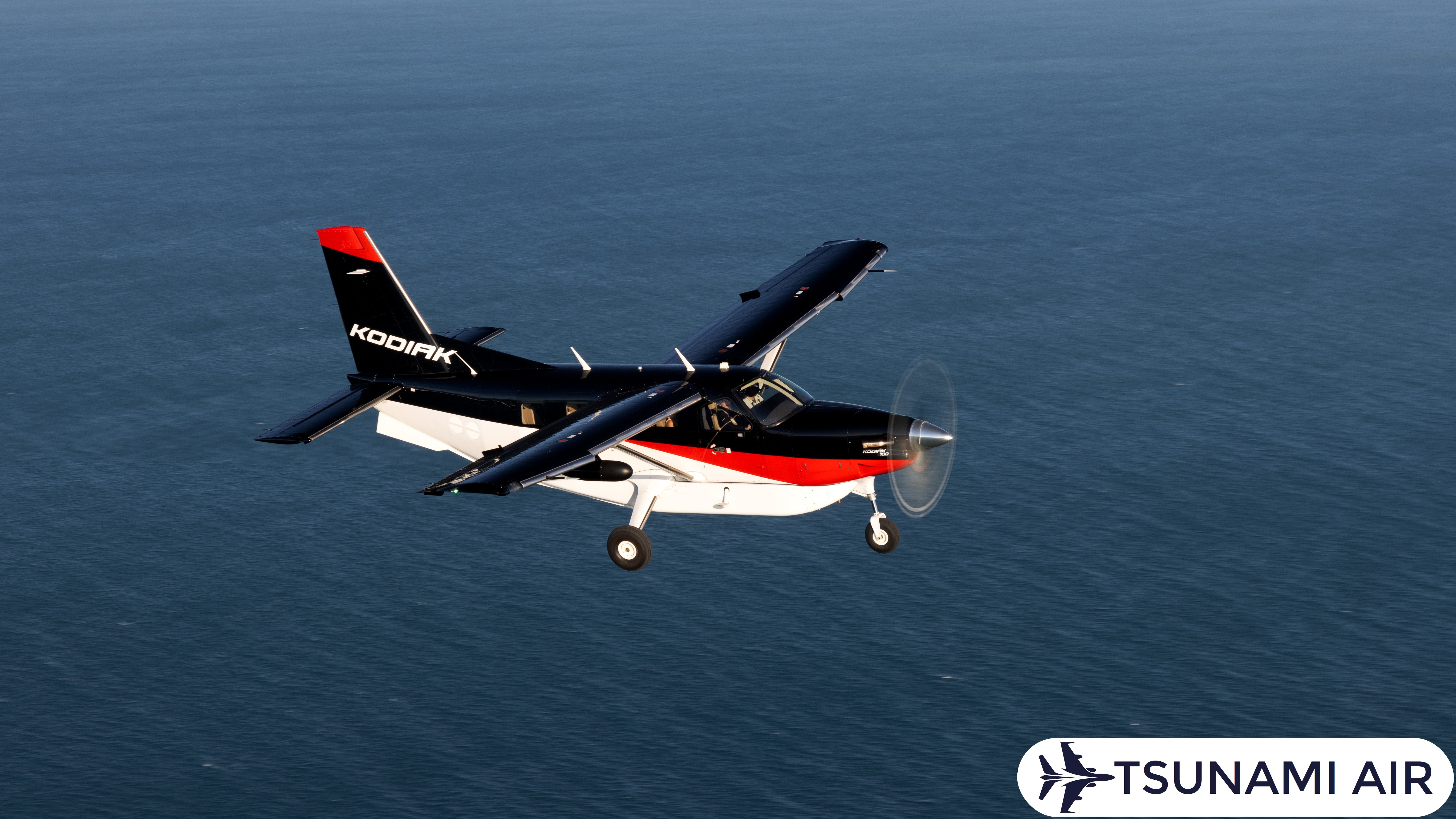 Kodiak 100 Series III
