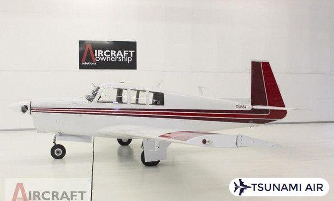 MOONEY M20G STATESMAN