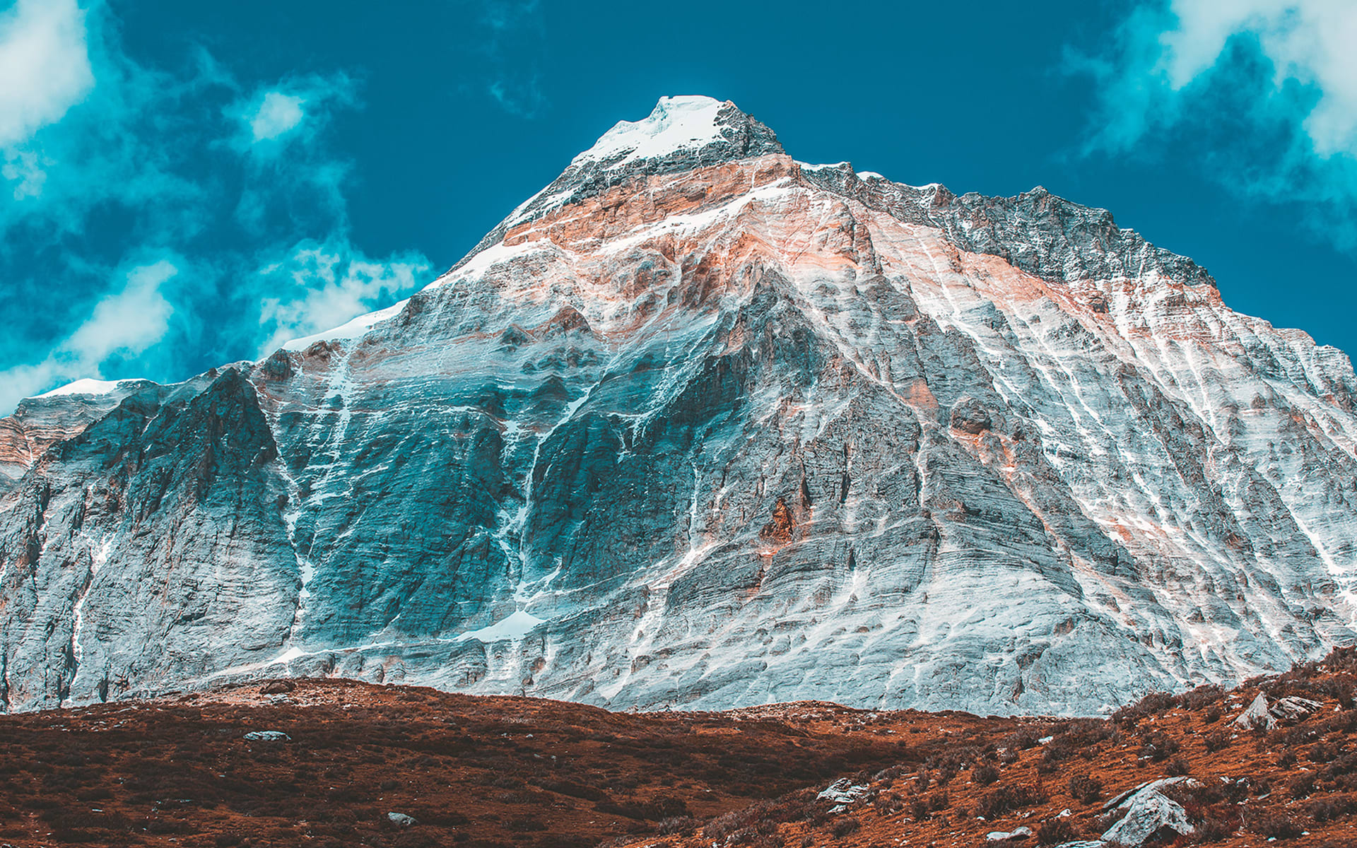 Focal Point Care website