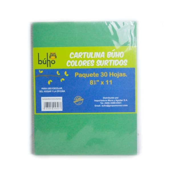 Cartulina de Colores Surtida 