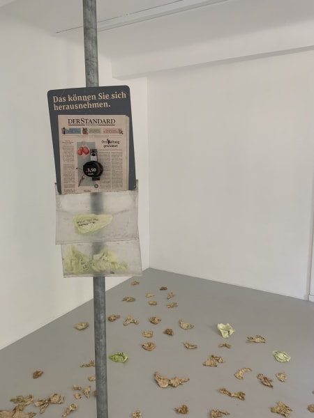 Inside view of Christian Olborz Oldham's exhibition at Prosopopoeia in Vienna, showing a stolen Viennese newspaper coin box filled with cabbage leaves and other cabbage leaves on floor, some dried