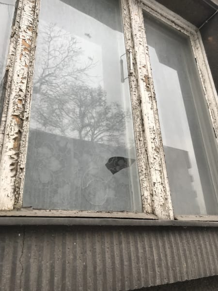 Broken window in my neighbourhood where smash looks like a shrimp or hermit crab