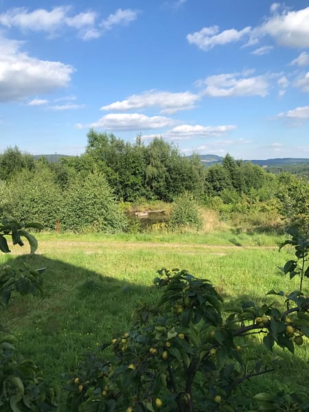 view from domek in sokołowsko