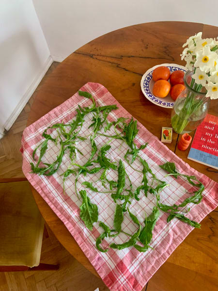 salad drying on tea towel