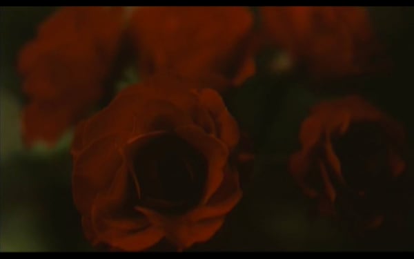 screenshot of red roses from angel dust film