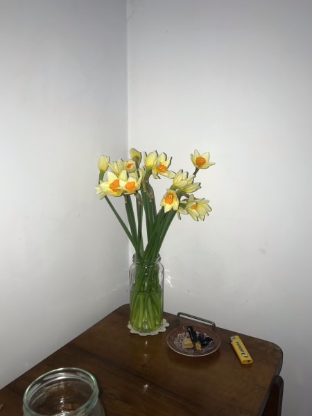 Orange-eyed daffodils on my night table