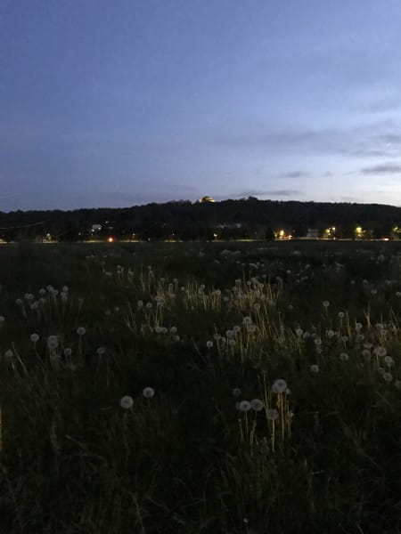 Dusk run in błonia