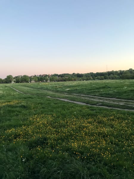 Sunset in błonia błonia is an artwork walking around today make me want to cry because it was so beautiful and i wish the world was a better place as peaceful and dynamici and free as błonia