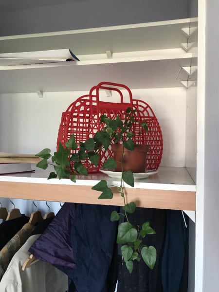 M's wardrobe, red bag and plant