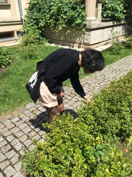 marilia leaning down by a shrub at jozef czapki pavilion