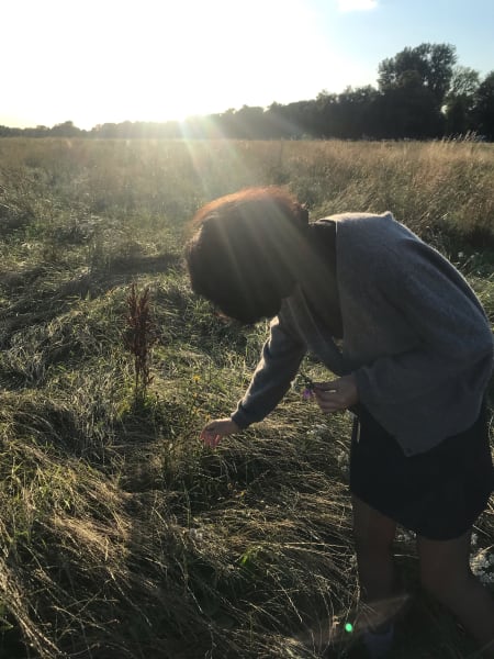 marilia picking flowers in błonia