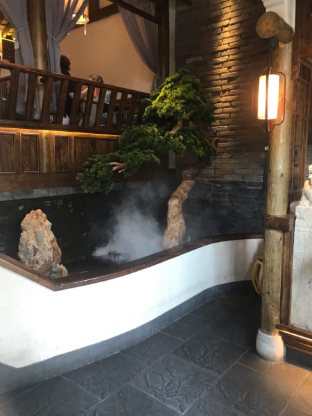 big bonsai and steaming pond at restaurant in flushing