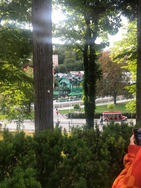 green restaurant through the trees in krynica