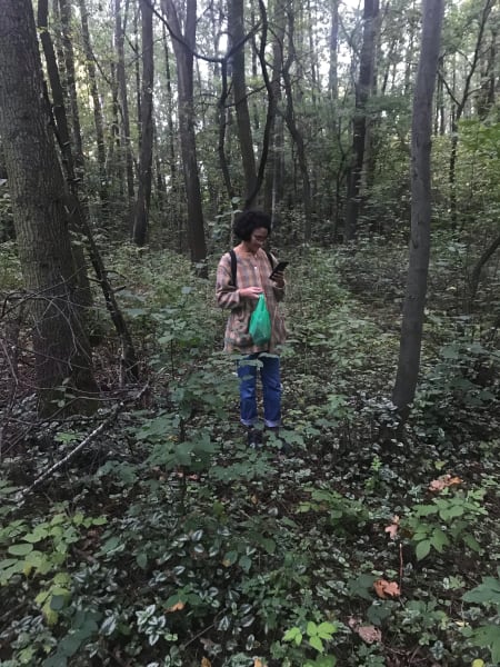 marilia w lesie