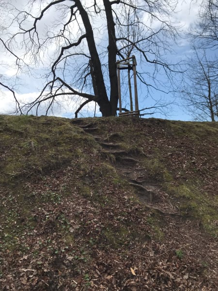 Steps made out of treebranches/roots