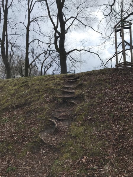 Steps made out of treebranches/roots