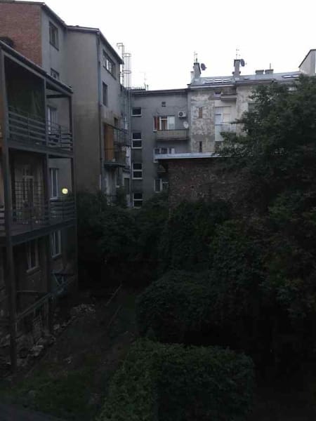 Photo at dusk outside my window, showing backs of buildings and trees