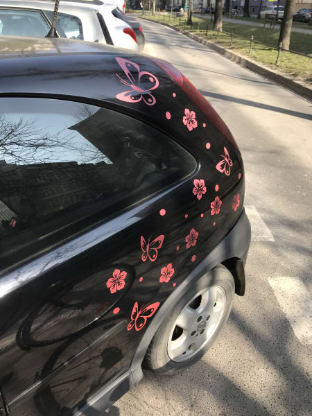 Blak little car with pink flower decals on back