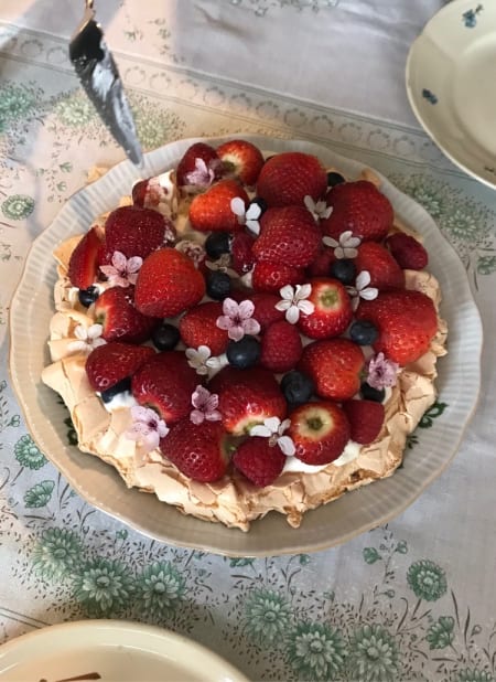 pavlova de marlii