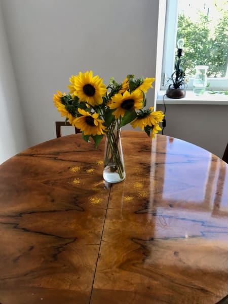 sunflowers on the table in a vase with pollen dropped down in a ring on the table, sunflower fairy ring