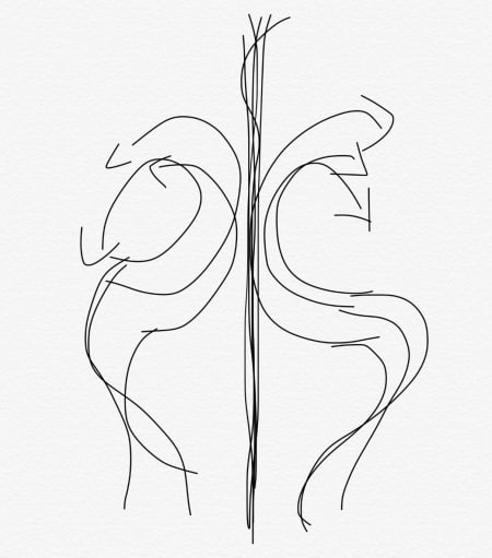 sketch in notes app, I think from Johanna