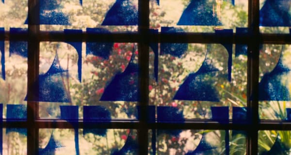 Blue segmented art maybe on mirror or glass from artist in agnes varda's lion love