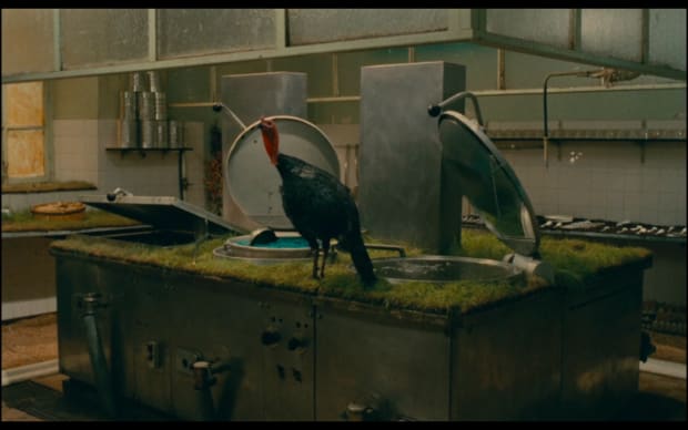 Agnes Varda - 7p., cuis., s. de b., … à saisir (1984), industrial kitchen with surfaces covered in grass and a turkey standing there