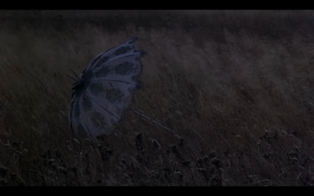 Terrence Malick - Days of Heaven (1978), parasol in a wheat field