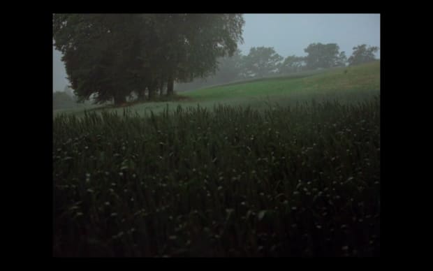 Jean-Luc Godard - Hail Mary (1985), field