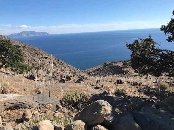 2020 photo from Nisyros, on the stone path down to Avlaki swimming area, showing rocky landscape and tall flowers on hill