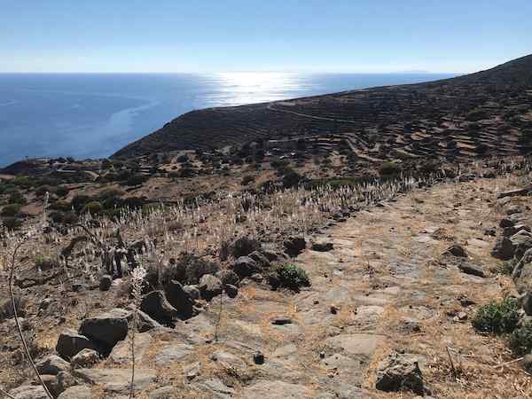 2020 photo from Nisyros, on the stone path down to Avlaki swimming area, showing rocky landscape and tall flowers on hill, blue sky, sea