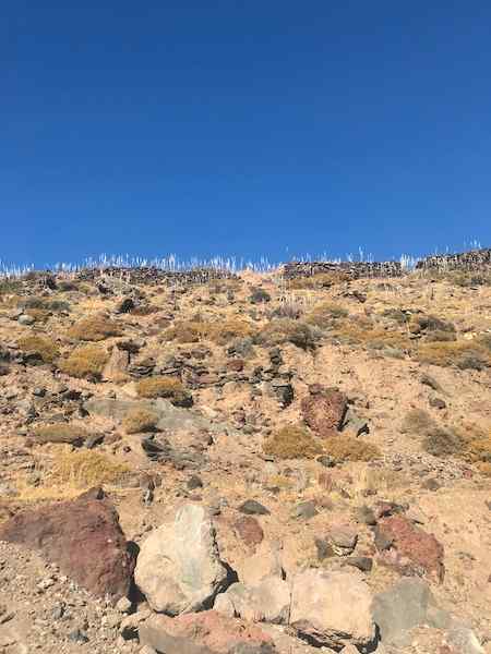 2020 photo from Nisyros, showing a tall rocky wall/hill in camel-y tones and the top 1/3 bright blue sky