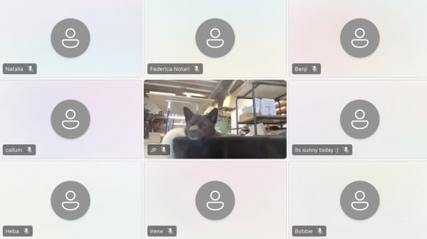 Screenshot of Teams meeting without everyone with camera off and a dog shown in the middle of the grid